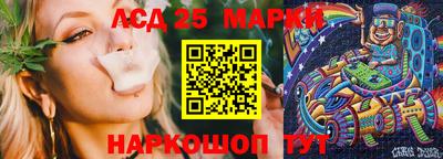 СК Обь